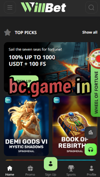 BC.Game In: Access the Casino-vz72fvrf.com